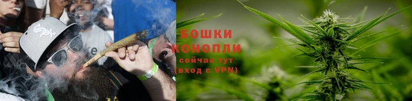индика Заводоуковск