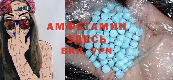 индика Заводоуковск