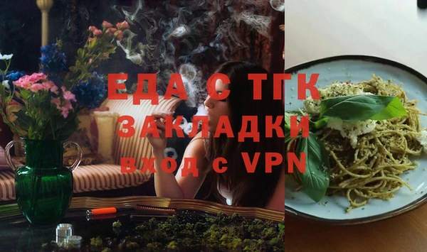 индика Заводоуковск