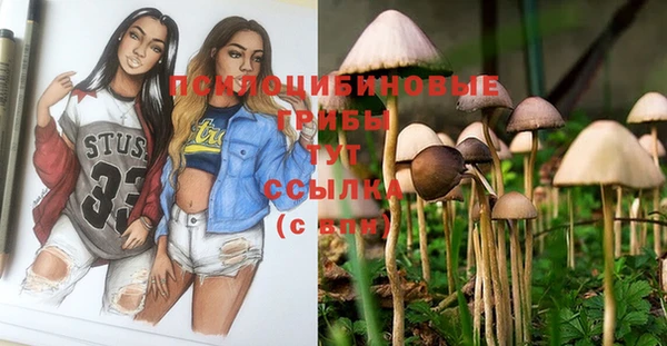 молекула духа Инсар