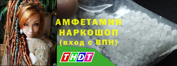 индика Заводоуковск