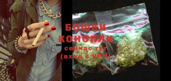 PSILOCYBIN Зеленодольск