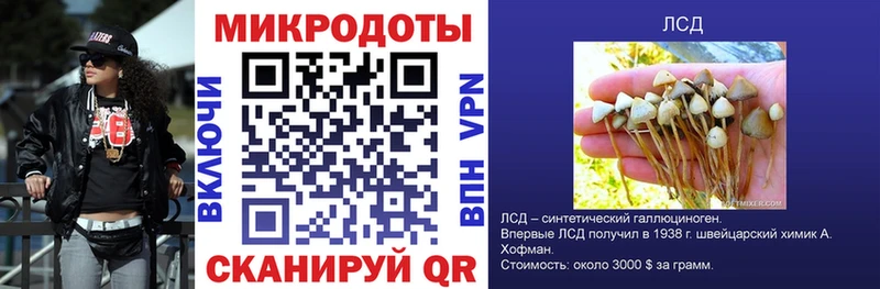 Псилоцибиновые грибы Magic Shrooms  MEGA   Сосновый Бор  как найти наркотики 