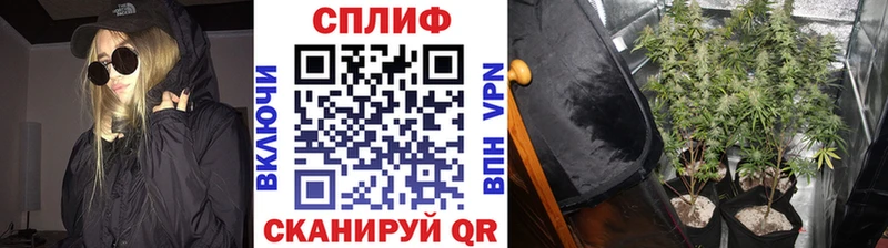 Марихуана Amnesia  MEGA маркетплейс  Сосновый Бор  наркота 
